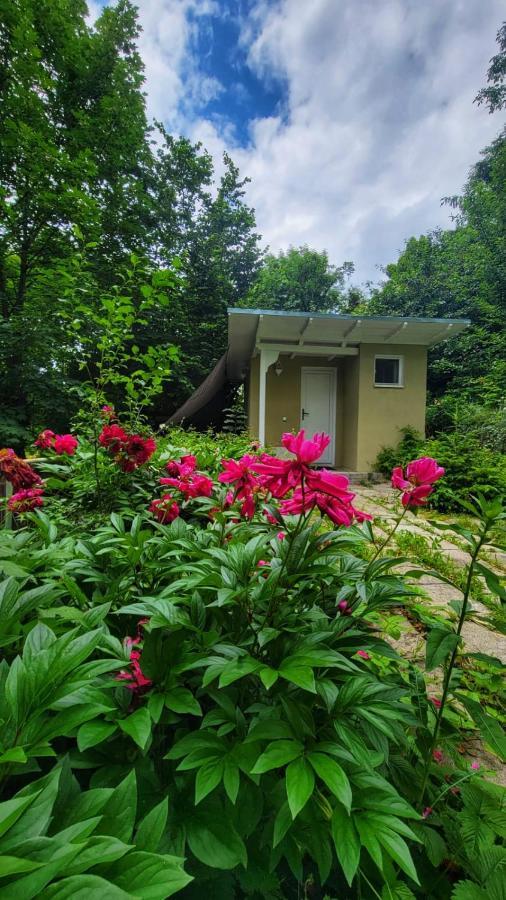The Bungalow Brasov Luaran gambar